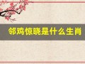 邻鸡惊晓是什么生肖(邻鸡惊晓梦成真是什么生肖)