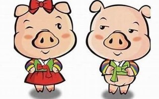 属猪男最佳婚配(属鸡男最佳婚配)