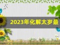 2023年化解太岁最简单的方法(2023年的太岁是哪一位)