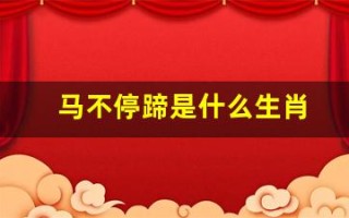 马不停蹄是什么生肖(马不停蹄是什么生肖数字)