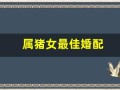属猪女最佳婚配(属猪女最佳婚配属相)