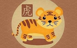属虎人出生月的命运(属虎人出生月的命运(农历))