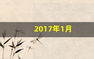 2017年1月(2017年1月27日出生是什么命)