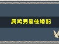 属鸡男最佳婚配(属鸡男最佳婚配前十名属相)