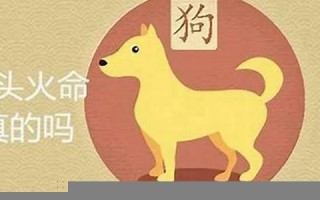94年属什么(94年属什么生肖最佳配偶)