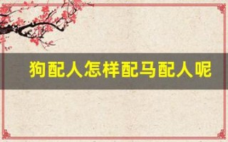狗配人怎样配马配人呢(狗配人怎样配马配人呢完整版电影)
