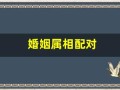 婚姻属相配对(婚姻属相配对查询)
