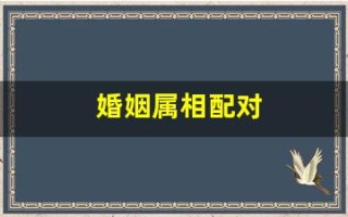婚姻属相配对(婚姻属相配对查询)