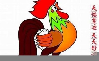 属鸡2022年的运势(属鸡2022年运势及运程2005年出生)