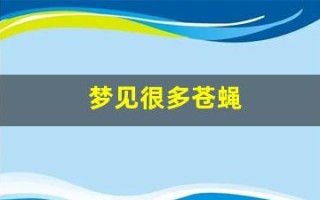 梦见很多苍蝇(梦见很多苍蝇往身上飞是什么预兆)
