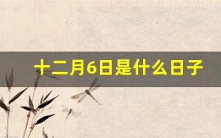 十二月6日是什么日子(12月6曰是什么曰子)