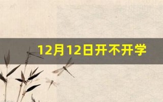 12月12日开不开学(12月学校放假了吗)