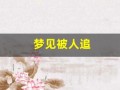 梦见被人追(梦见被人追着跑到处躲)