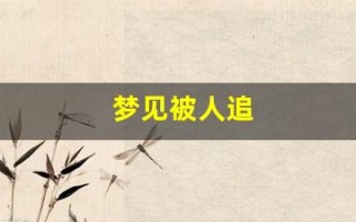 梦见被人追(梦见被人追逃跑是什么征兆)