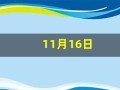 11月16日(11月16日到今天是多少天)