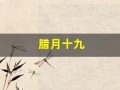 腊月十九(2000年腊月十九)