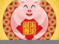 属猪今日运势(属狗今日运势)