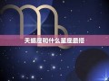天蝎座和什么座最配(天蝎座和什么座最配处闺蜜)