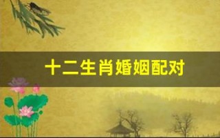 十二生肖婚姻配对(十二生肖婚姻配对表鸡和狗)