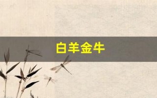 白羊金牛(白羊金牛适合在一起吗)