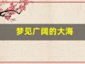 梦见广阔的大海(梦见宽阔的大海风景很好)