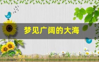梦见广阔的大海(梦见好大好大的海)