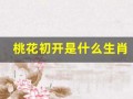 桃花初开是什么生肖(桃花初开是什么生肖动物)