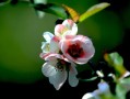 3月14号(3月14号末次月经预产期是什么时候)