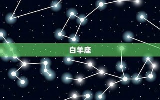 星座爱情测试(星座爱情)
