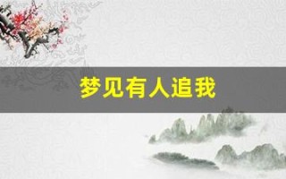 梦见有人追我(梦见有人追我我拼命跑和躲藏)
