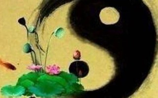 2021年属马人的全年运势(2021年属马人的全年运势女性)