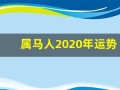 属马人2020年运势(1990年属马人2025年运势)