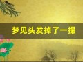 梦见头发掉了一撮(梦见头发掉了一撮头露个洞什么意思)
