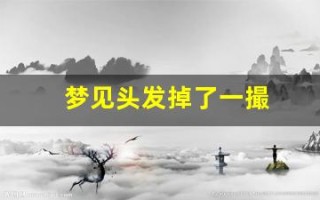 梦见头发掉了一撮(梦见头发掉了一撮头露个洞什么意思)