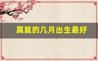 属鼠的几月出生最好(属鼠的几月出生最好命男孩子)