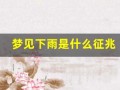 梦见下雨是什么征兆(梦见下雨是什么征兆 女性)