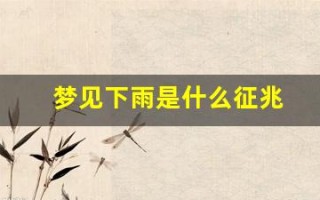 梦见下雨是什么征兆(梦见下雨是什么征兆 女性)