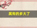 属狗的多大了(属羊的多大了)