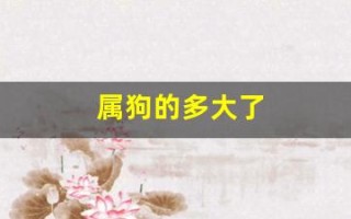 属狗的多大了(七几年属狗的多大了)