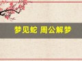 梦见蛇 周公解梦(男人梦见蛇周公解梦)