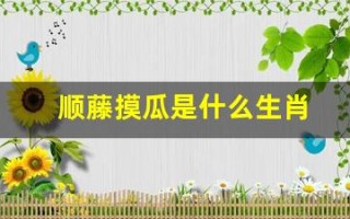 顺藤摸瓜是什么生肖(正确答案是什么生肖)
