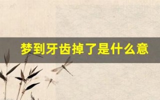 梦到牙齿掉了是什么意思(梦到牙齿掉了是什么征兆 女性)