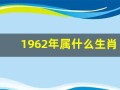 1962年属什么生肖(1968年属什么生肖)