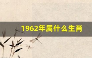 1962年属什么生肖(1968年属什么生肖)