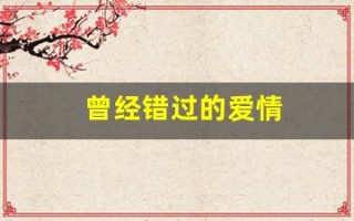 曾经错过的爱情(曾经错过的爱情歌词)