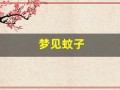 梦见蚊子(后来我跑了)