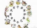 实实在在代表什么生肖(实实在在 是什么生肖)