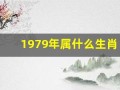 1979年属什么生肖(1980年属什么生肖)