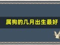 属狗的几月出生最好(属狗的几月出生最好男孩)