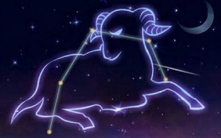 白羊(白羊座和什么星座最配) 白羊(白羊座和什么星座最配)